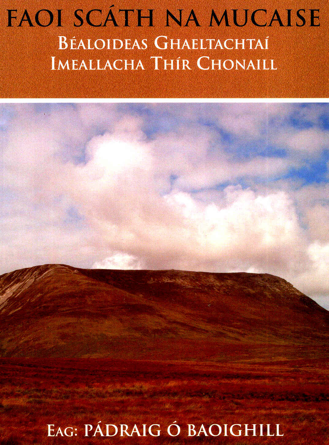 Bealoideas Tir Chonaill 2005 Padraig O Baoighill